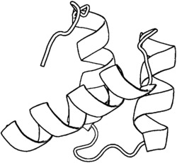 一种基于多样性指标的群体蛋白质构象空间优化方法