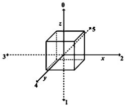 一种基于流体力学微分方程的脑纤维非对称重构方法