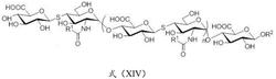 一种含硫苷键糖胺聚糖的制备方法及应用