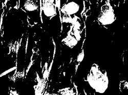 一种用于铅碳电池负极添加剂的铅碳复合材料的制备方法