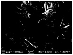 镁合金表面一步原位电沉积层状双氢氧化物涂层的方法