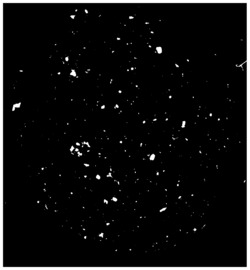 一种基于陨石制备的纳米零价金属轻质多孔球形功能材料、其制备方法及应用