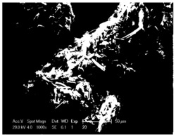 一种基于陨石制备的纳米零价金属多孔功能材料、其制备方法及应用
