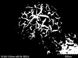 一种用于超级电容器的氧硫掺杂的Ni-Mo双金属材料及其制备方法