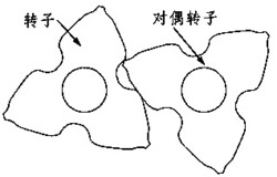 一类罗茨泵用的双曲线转子