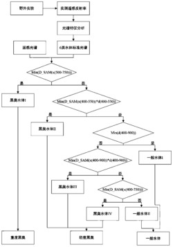 一种基于光谱匹配的城市黑臭水体分级方法