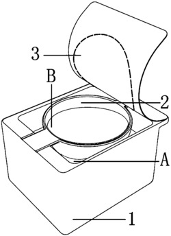 药丸吞咽辅助装置