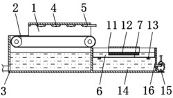 一种全自动芦笋清洗机
