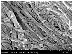 一种高阻燃性的导电复合材料及其制备方法