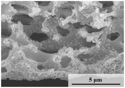 一种基于刺激响应性微凝胶构筑的智能催化膜及其制备方法和应用