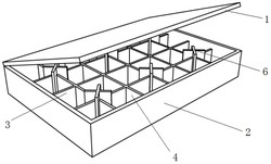 一种易装取的枇杷快递包装盒