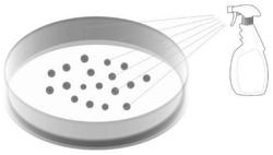 一种水溶性抗菌喷剂及其应用