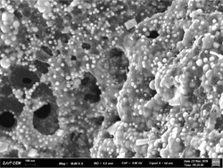 一种铅碳电池负极添加剂材料的制备方法及其应用方法