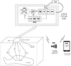 水产品品质监测的多参数无源柔性传感装置及方法