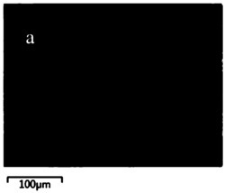 一种氧化锌负载孔径可调的三维蜂窝状碳基纳米材料的制备方法