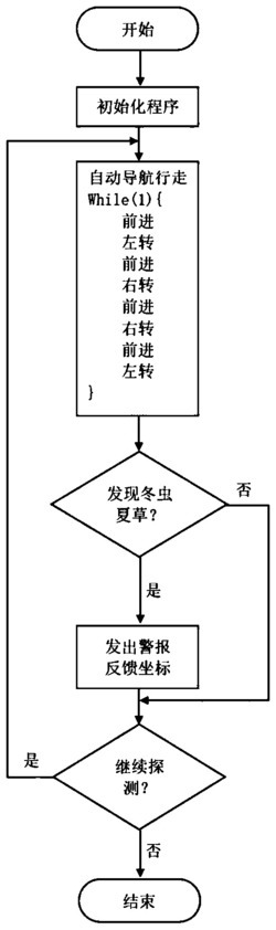 一种冬虫夏草探测车