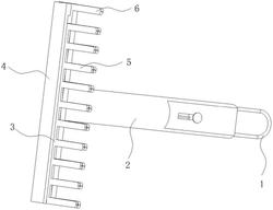 一种畜牧用可调节齿距的梳子
