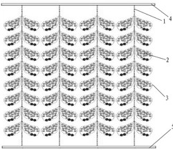 一种用于污水处理的复合填料帘结构