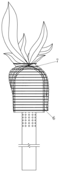 一种用于温室大棚规模化种植蝴蝶兰的定植桩及种植方法