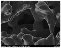 用于制备水凝胶的组合物、水凝胶及其制备方法和应用