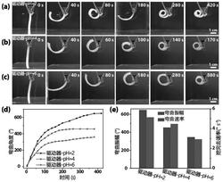 一种酸性pH响应型水凝胶的制备方法及其应用