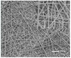 一种聚乳酸/壳聚糖/金银花绿原酸纳米纤维膜的制备方法及其应用