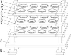 一种多肉植物销售用展示架