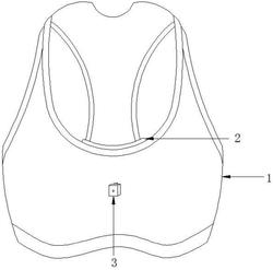 一种具有心率检测功能的运动内衣