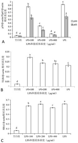 一种乳脂质体的构建及其在巨噬细胞免疫活性调节中的应用