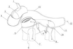 一种宠物健康管理用的穿戴式杀菌机构