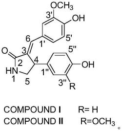 一种马齿苋内酰胺提取物及其制备方法与应用