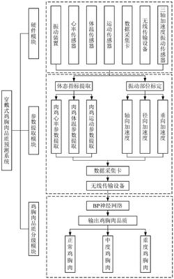 一种基于穿戴技术的鸡胸肉品质预测装置及分级方法