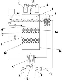 一种分级解耦模式下的生物质双循环气化脱碳反应系统