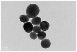 一种具有抗菌疏水微球层的纳米纤维膜的制备方法