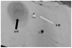 单面超疏水单面超亲水的Janus型微纳米复合纤维膜及其制备方法