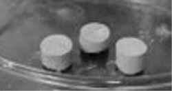 一种剑麻纤维增强的纳米羟基磷灰石/壳聚糖复合材料的制备方法