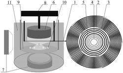一种三维声镊发射器、三维聚焦声镊操控系统及其应用