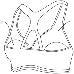 一种孕妇用的舒适运动文胸