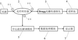 一种基于Bragg光栅的氯离子浓度检测装置
