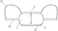 一种内衣罩杯结构