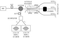 基于长周期光纤光栅的光纤迈克尔逊干涉装置及制备方法