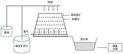 一种利用酸性矿井水和高硫尾矿辅助生物浸出粉煤灰中稀土的方法